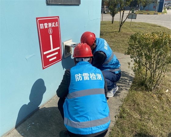 公司簡介